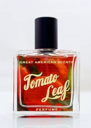 tomato leaf perfume.